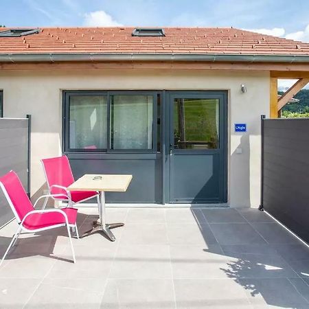 Domaine Des Ecuries - Appartements Meubles A Talloires Zewnętrze zdjęcie